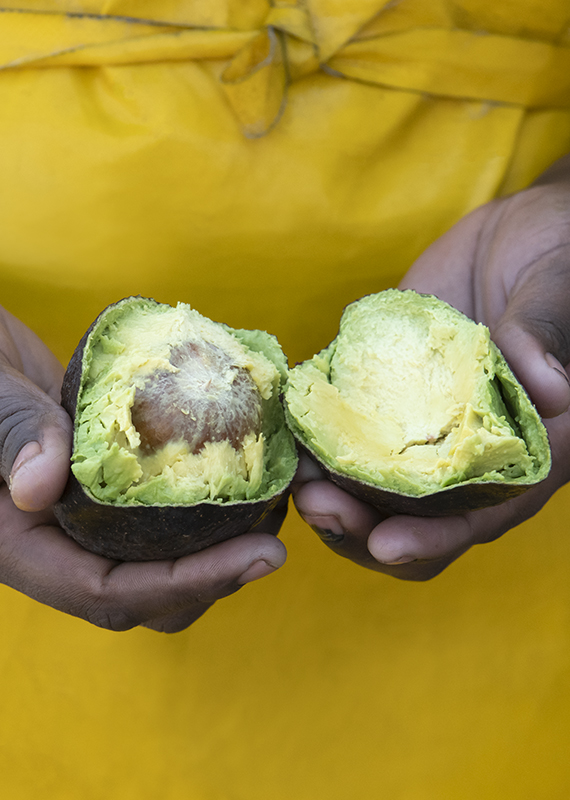 15-DOY-2-Avocados-200pc-DESKTOP