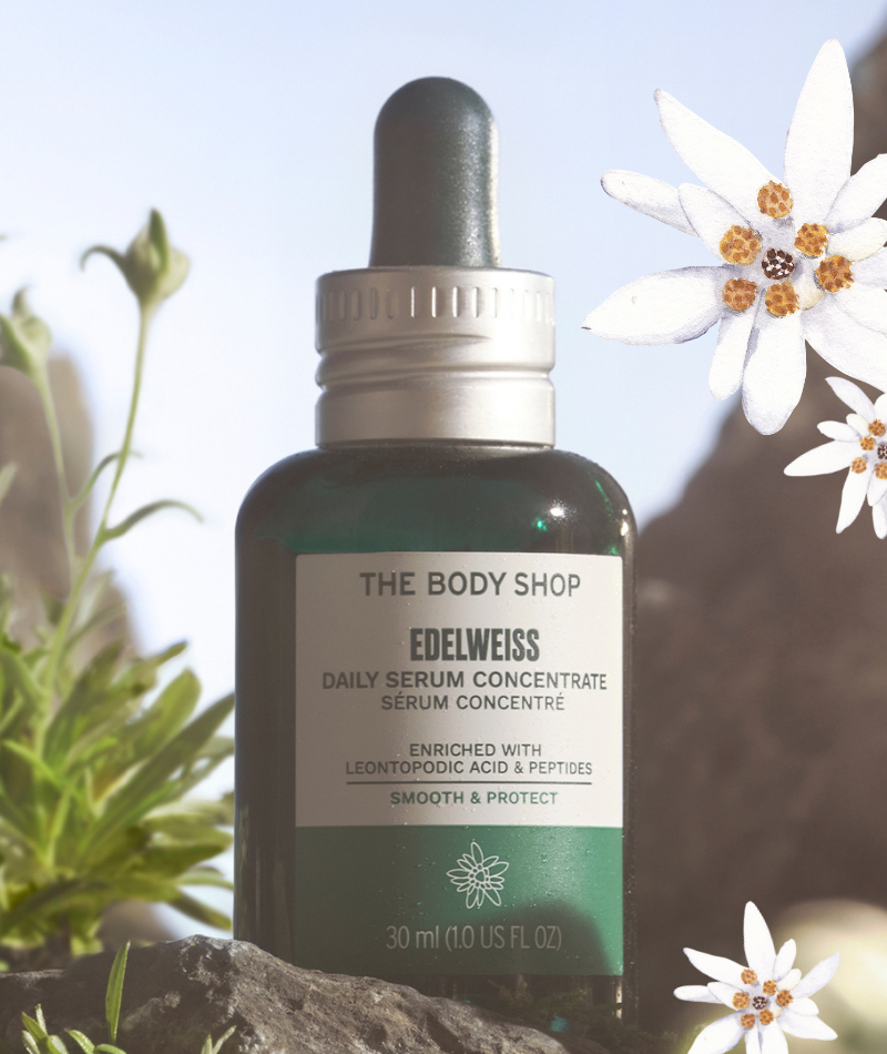 landing_ke_p_800_x_950